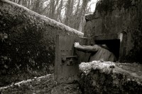 /album/galerie-photos/%c3%a0-l%27abri-jpg/